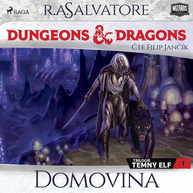 Produktbild: Dungeons & Dragons. Legenda o Drizztovi. Temn&yacute; elf 1: Domovina