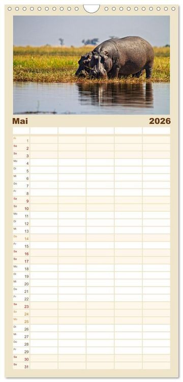 Produktbild: Familienplaner 2026 - Hippos - Gef&auml;hrliche Giganten mit 5 Spalten (Wandkalender, 21 x 45 cm) CALVENDO