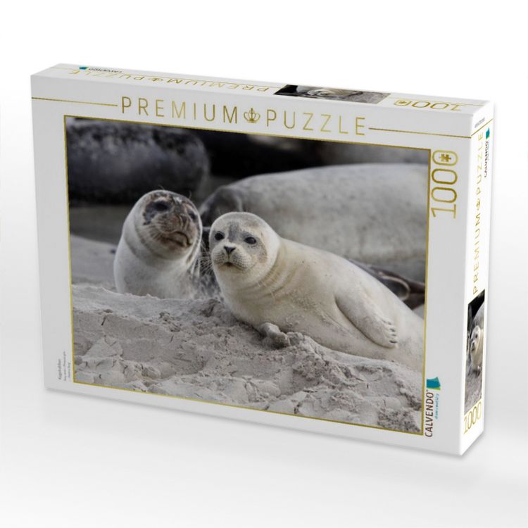 Produktbild: CALVENDO Puzzle Kegelrobben | 1000 Teile Lege-Gr&ouml;&szlig;e 64x48cm Foto-Puzzle f&uuml;r gl&uuml;ckliche Stunden