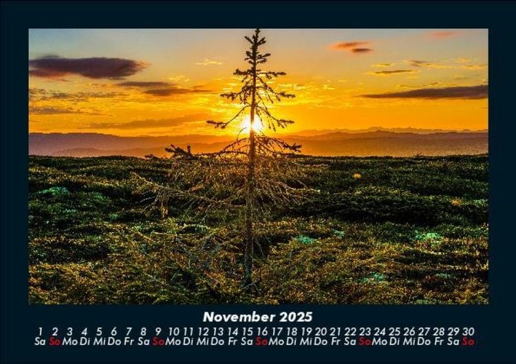 Produktbild: B&auml;ume 2025 Fotokalender DIN A5