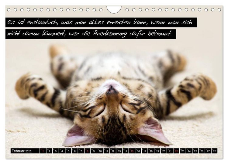Produktbild: Der "philosophische" Katzenkalender 2026 (Wandkalender 2026 DIN A4 quer), CALVENDO Monatskalender