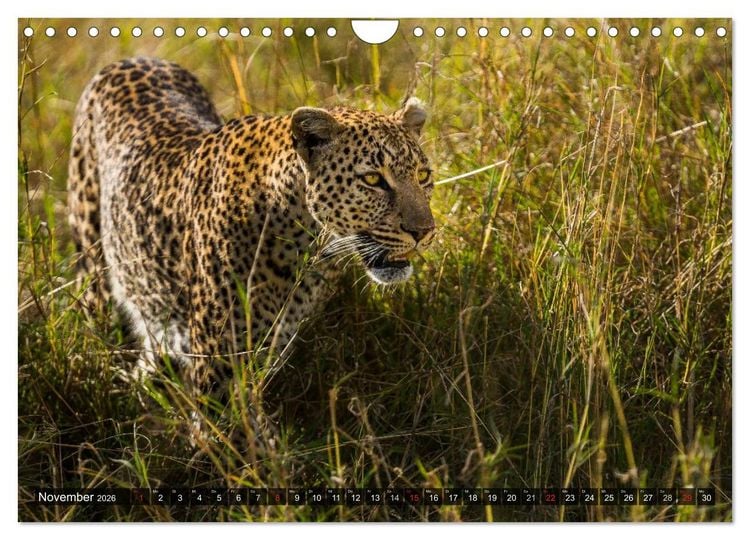 Produktbild: Kenia 2026 (Wandkalender 2026 DIN A4 quer), CALVENDO Monatskalender