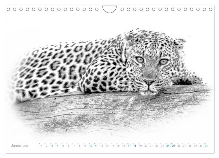 Produktbild: AFRIKA - Schwarz-weiss Fotografien im modernen "High Key" Look (Wandkalender 2026 DIN A4 quer), CALVENDO Monatskalender