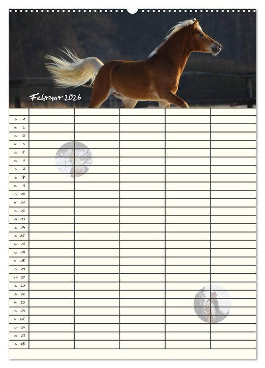 Produktbild: Haflinger Pferde - Stall- und Familienplaner 2026 (hochwertiger Premium Wandkalender 2026 DIN A2 hoch), Kunstdruck in Hochglanz