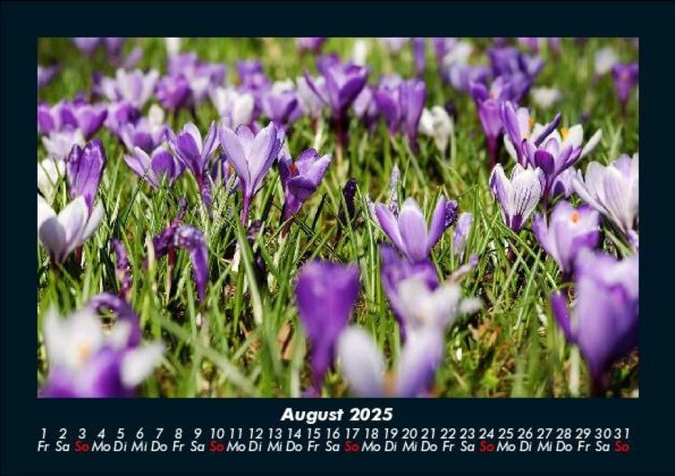 Produktbild: Blumenkalender 2025 Fotokalender DIN A5