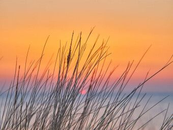 Produktbild: CALVENDO Puzzle D&uuml;nengras im Sonnenuntergang | 1000 Teile Lege-Gr&ouml;&szlig;e 64x48cm Foto-Puzzle f&uuml;r gl&uuml;ckliche Stunden