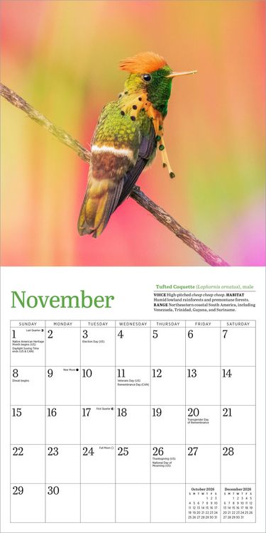 Produktbild: Audubon Hummingbirds Mini Wall Calendar 2026