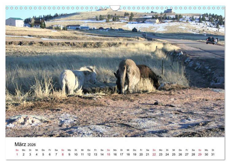 Produktbild: Colorado, USA - Ausflugsziele rund um Colorado Springs (Wandkalender 2026 DIN A3 quer), CALVENDO Monatskalender