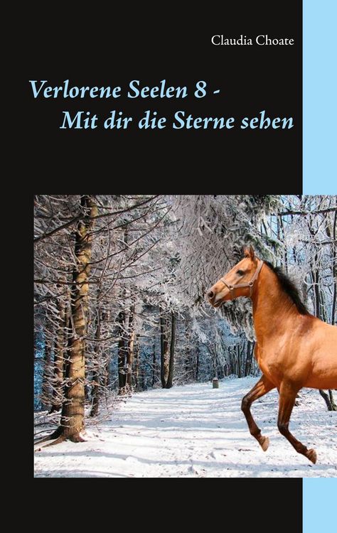 Produktbild: Verlorene Seelen 8 - Mit dir die Sterne sehen