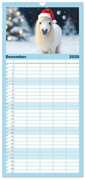 Produktbild: Familienplaner 2026 - Kleine Pferde. Mini-Ponys zum verlieben mit 5 Spalten (Wandkalender, 21 x 45 cm) CALVENDO