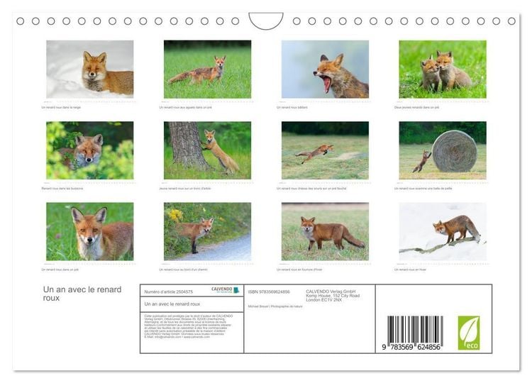 Produktbild: Un an avec le renard roux (Calendrier mural 2027 DIN A4 vertical), CALVENDO calendrier mensuel