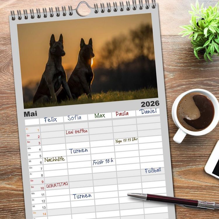 Produktbild: Familienplaner 2026 - Belgische Sch&auml;ferhunde - Der Malinois im Licht mit 5 Spalten (Wandkalender, 21 x 45 cm) CALVENDO