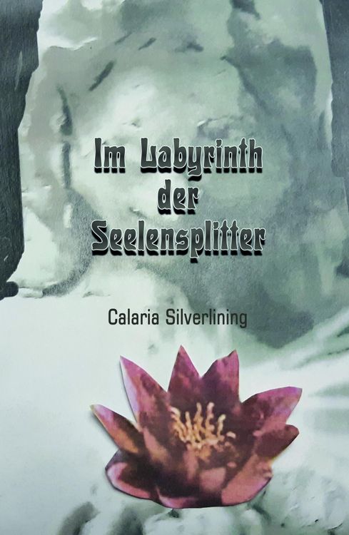 Produktbild: Im Labyrinth der Seelensplitter