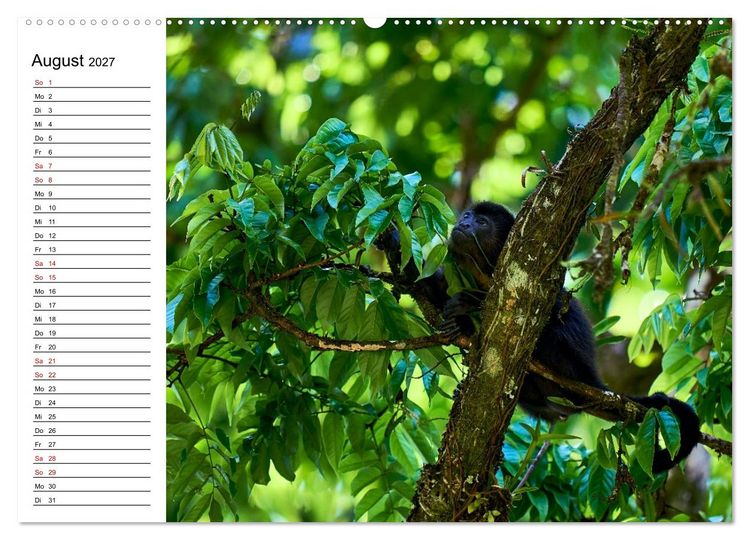 Produktbild: Costa Rica &ndash; Tierparadies im Regenwald (Wandkalender 2027 DIN A2 quer), CALVENDO Monatskalender