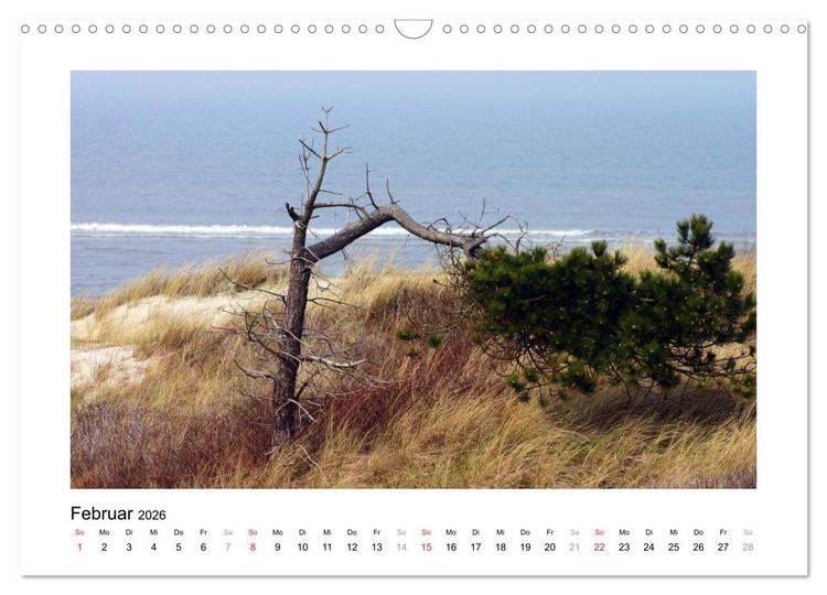Produktbild: JUIST - Ansichten einer Insel (Wandkalender 2026 DIN A3 quer), CALVENDO Monatskalender