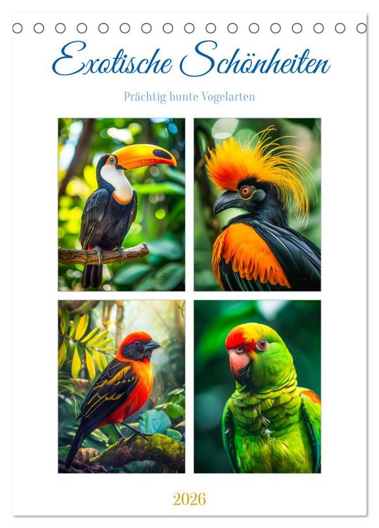 Produktbild: Exotische Sch&ouml;nheiten - pr&auml;chtig bunte V&ouml;gel (Tischkalender 2026 DIN A5 hoch), CALVENDO Monatskalender