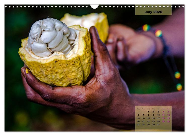 Produktbild: Fruits of Grenada (Wall Calendar 2026 DIN A3 landscape), CALVENDO 12 Month Wall Calendar
