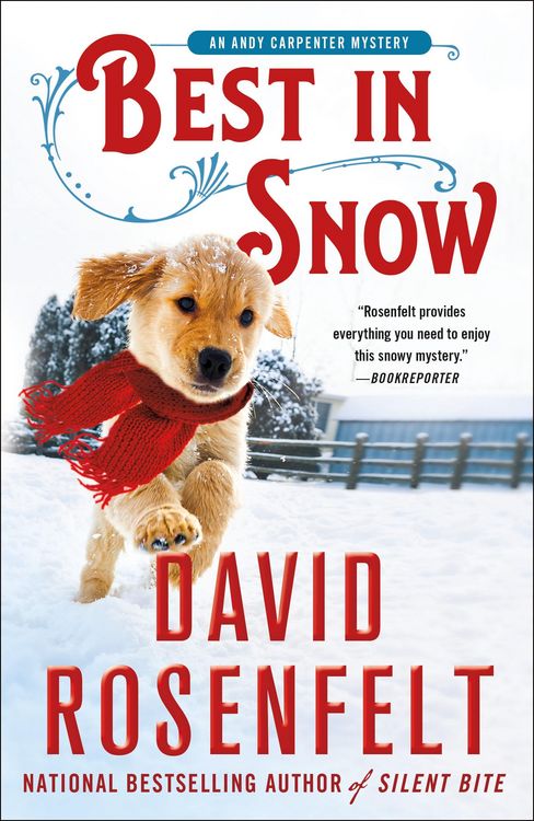 Produktbild: Best in Snow