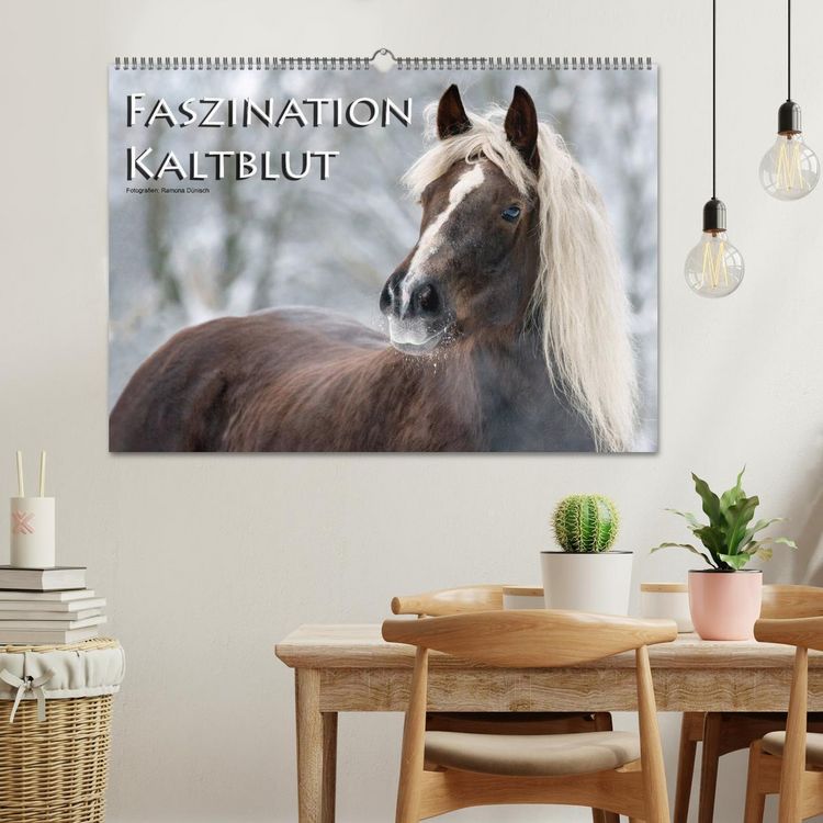 Produktbild: Faszination Kaltblut (Wandkalender 2026 DIN A2 quer), CALVENDO Monatskalender
