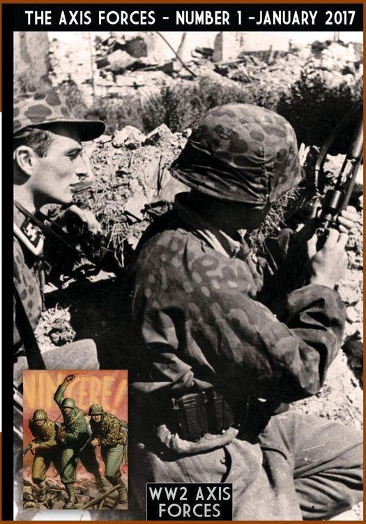Produktbild: The Axis Forces 1