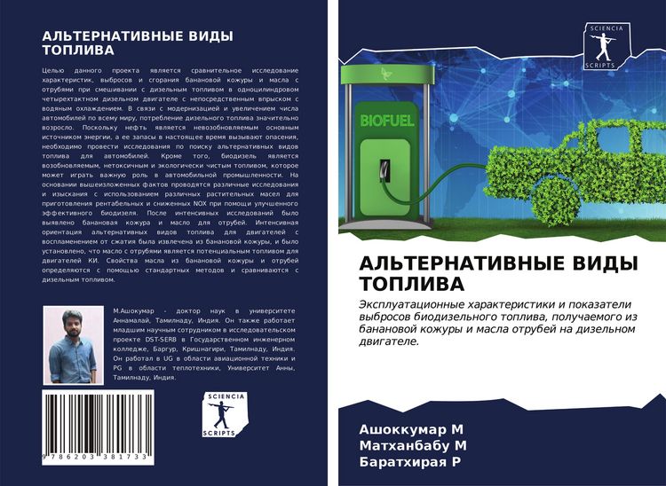 Produktbild: AL'TERNATIVNYE VIDY TOPLIVA