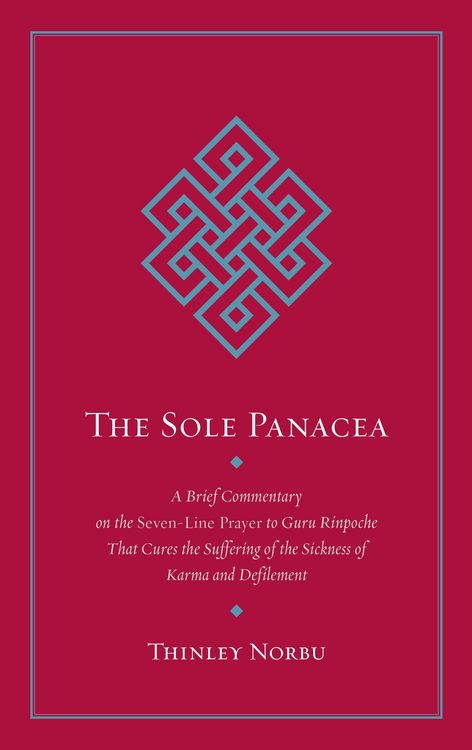 Produktbild: The Sole Panacea