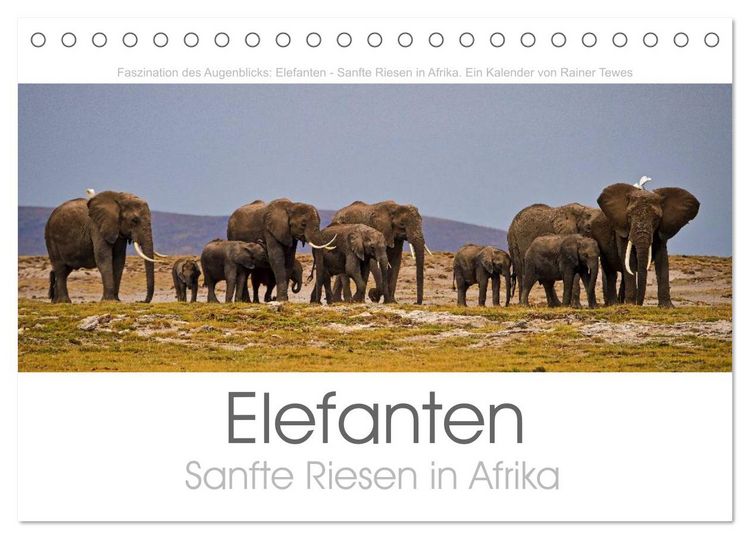 Produktbild: Elefanten - Sanfte Riesen in Afrika (Tischkalender 2026 DIN A5 quer), CALVENDO Monatskalender