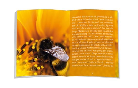 Produktbild: Das Märchen von der Sonnenblume