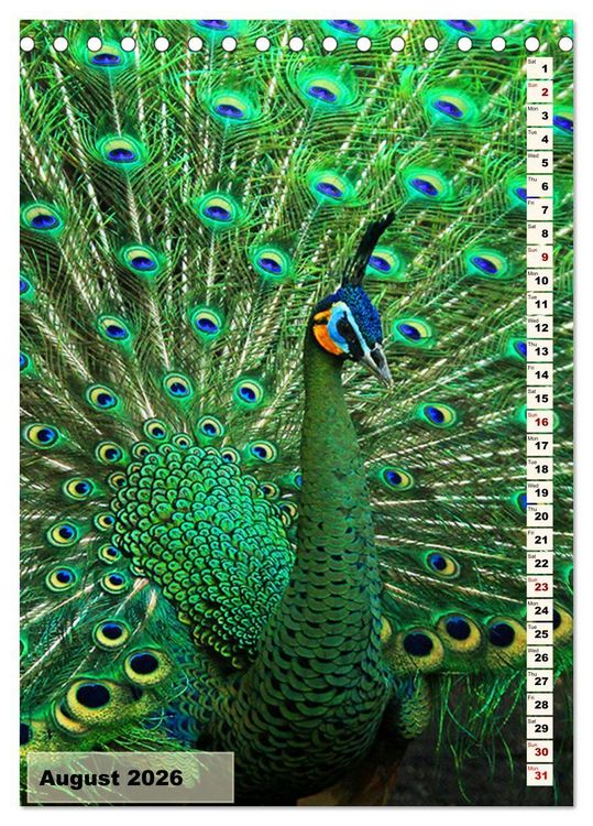Produktbild: Colourful birds (Desk Calendar 2026 DIN A5 portrait), CALVENDO 12 Month DeskCalendar