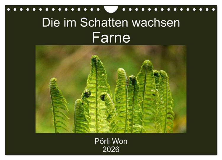 Produktbild: Die im Schatten wachsen - Farne (Wandkalender 2026 DIN A4 quer), CALVENDO Monatskalender