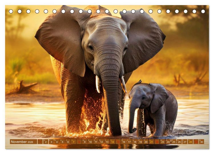 Produktbild: Tierkinder Afrikas - Entdecke ihre zauberhafte Welt (Tischkalender 2026 DIN A5 quer), CALVENDO Monatskalender