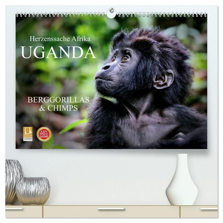 Produktbild: UGANDA - Berggorillas & Chimps (hochwertiger Premium Wandkalender 2027 DIN A2 quer), Kunstdruck in Hochglanz