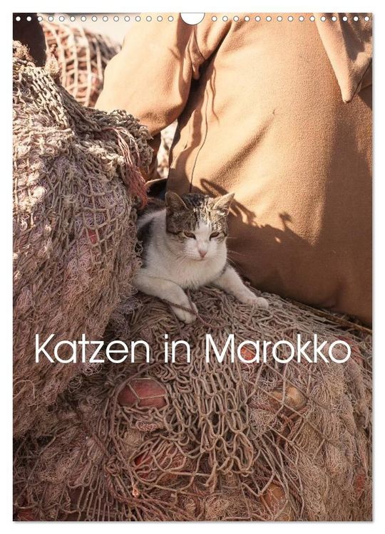 Produktbild: Katzen in Marokko (Wandkalender 2027 DIN A3 hoch), CALVENDO Monatskalender
