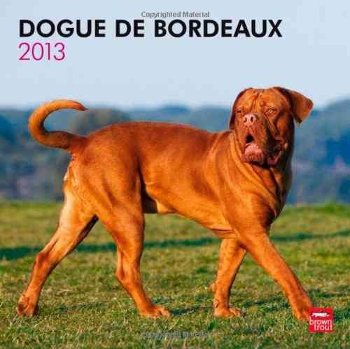 Produktbild: Dogue de Bordeaux 2013