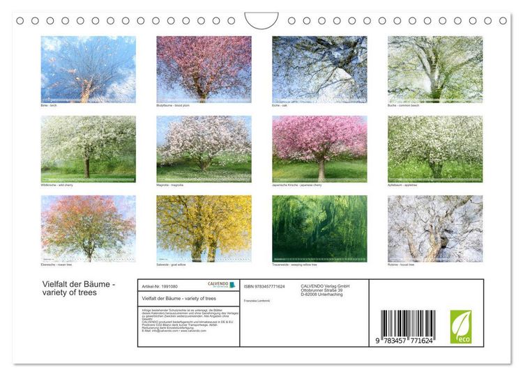 Produktbild: Vielfalt der B&auml;ume - variety of trees (Wandkalender 2026 DIN A4 quer), CALVENDO Monatskalender