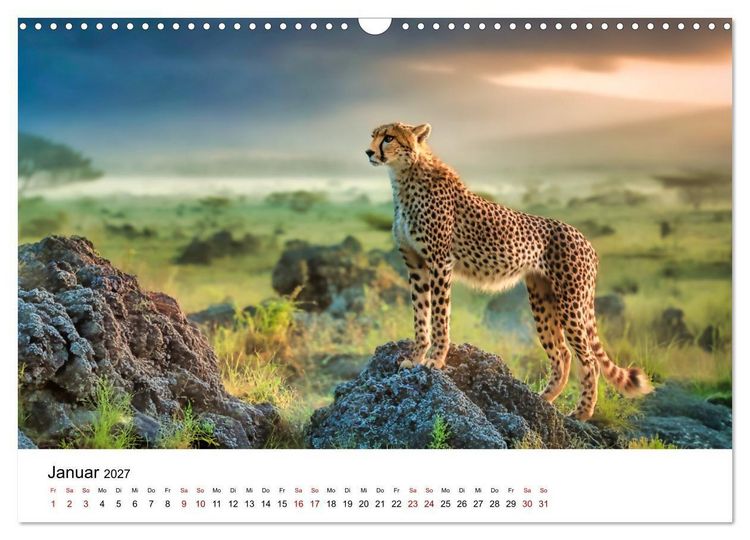 Produktbild: Eleganz und Instinkt - die beeindruckende Welt der Geparden (Wandkalender 2027 DIN A3 quer), CALVENDO Monatskalender