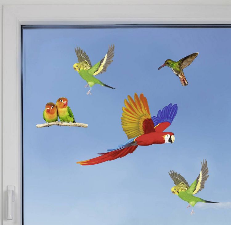 Produktbild: Gardigo Stickers Native Birds Fensteraufkleber Vogelbild Funktionsart Abschreckung 1St.