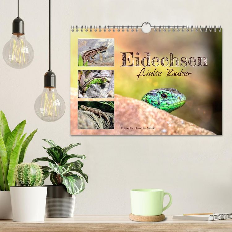 Produktbild: Eidechsen, flinke R&auml;uber (Wandkalender 2026 DIN A4 quer), CALVENDO Monatskalender