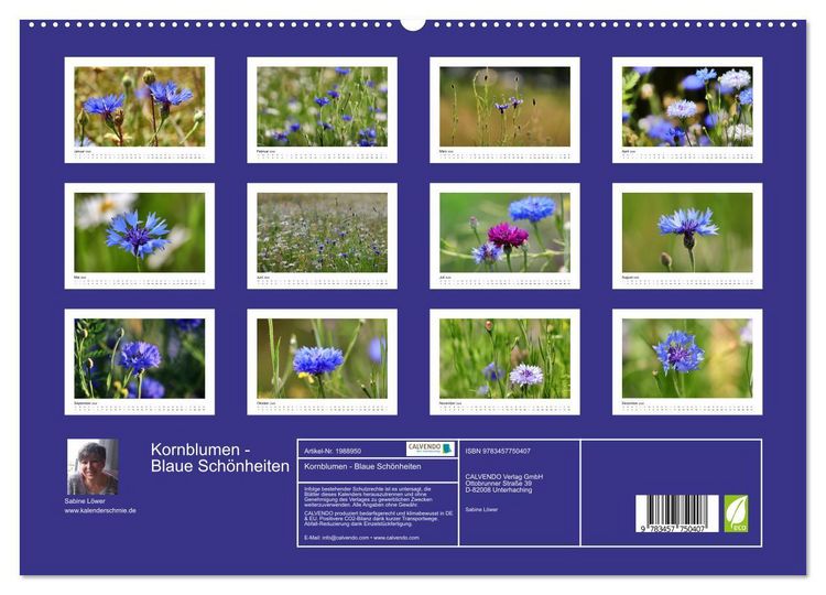 Produktbild: Kornblumen - Blaue Sch&ouml;nheiten (hochwertiger Premium Wandkalender 2026 DIN A2 quer), Kunstdruck in Hochglanz