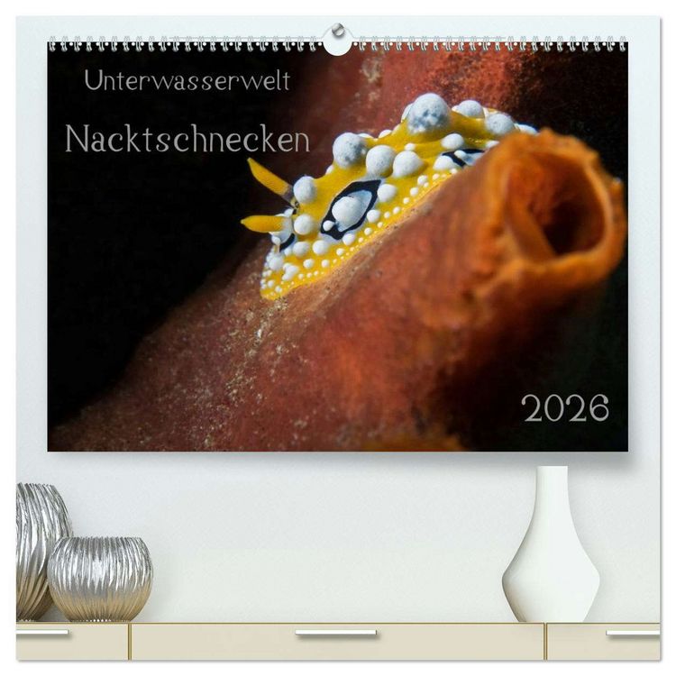 Produktbild: Unterwasserwelt Nacktschnecken (hochwertiger Premium Wandkalender 2026 DIN A2 quer), Kunstdruck in Hochglanz