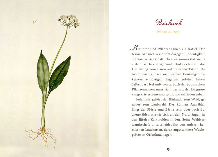 Produktbild: Eifeler Bl&uuml;ten-Lese