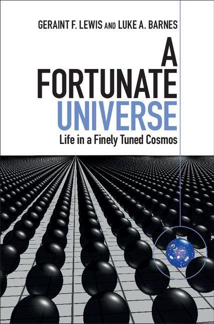 Produktbild: A Fortunate Universe