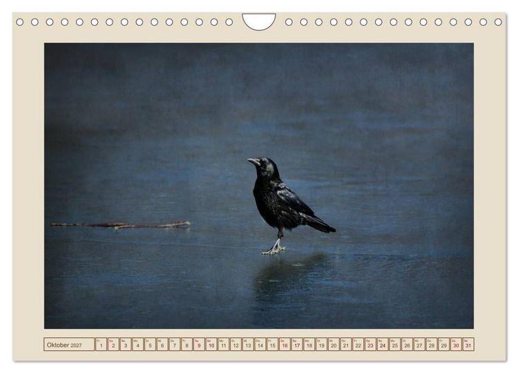 Produktbild: V&ouml;gel am Chemnitzer Schlossteich (Wandkalender 2027 DIN A4 quer), CALVENDO Monatskalender