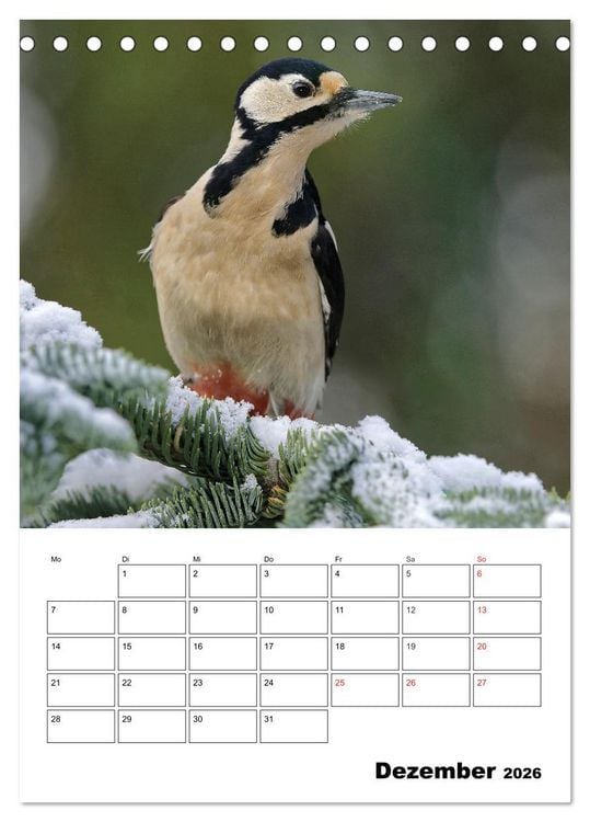 Produktbild: Bezaubernde V&ouml;gel im heimischen Garten (Tischkalender 2026 DIN A5 hoch), CALVENDO Monatskalender