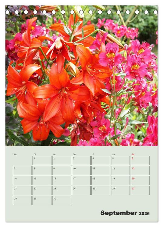 Produktbild: Lilien im Garten (Tischkalender 2026 DIN A5 hoch), CALVENDO Monatskalender