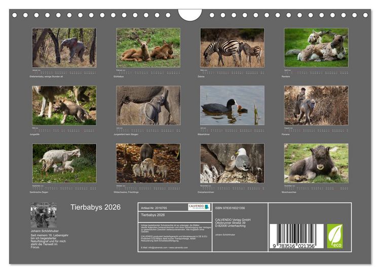 Produktbild: Tierbabys 2026 (Wandkalender 2026 DIN A4 quer), CALVENDO Monatskalender