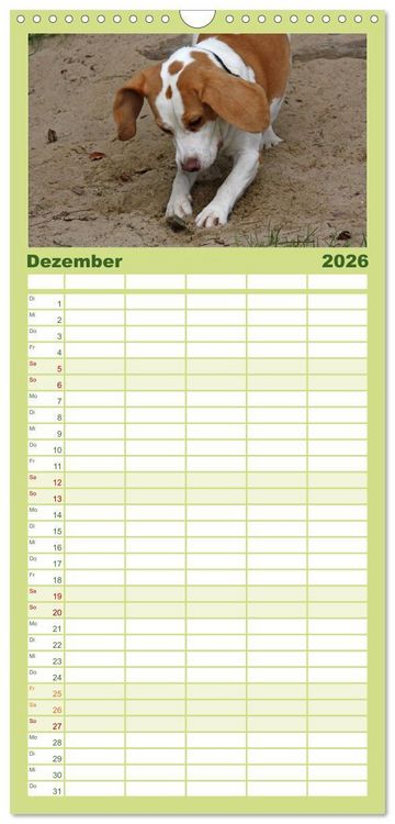 Produktbild: Familienplaner 2026 - Beagle mit 5 Spalten (Wandkalender, 21 x 45 cm) CALVENDO