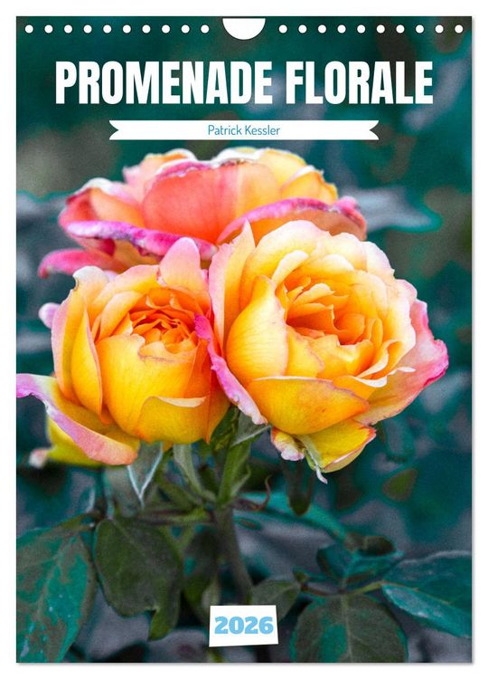 Produktbild: Promenade florale (Calendrier mural 2026 DIN A4 horizontal), CALVENDO calendrier mensuel