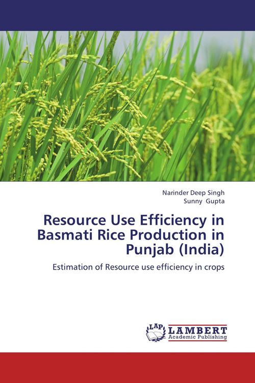 Produktbild: Resource Use Efficiency in Basmati Rice Production in Punjab (India)