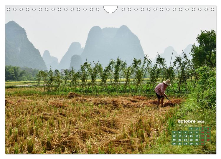 Produktbild: Riz de Chine (Calendrier mural 2026 DIN A4 vertical), CALVENDO calendrier mensuel
